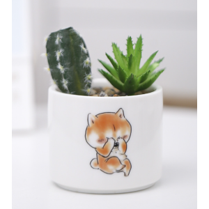 Mini Cactus Pots 7*8.5 CM Crying Kitten Pot